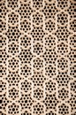 Marble lattice Royalty Free Stock Photo