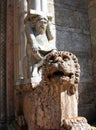 Marble lion in front of the cathedral of Ferrara, Italy