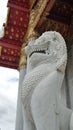Marble Lion guarding the Marble Temple in Bangkok Thailand
