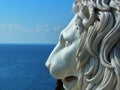 Marble lion head on sea texture background Royalty Free Stock Photo