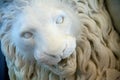 Marble lion old statue detail Royalty Free Stock Photo