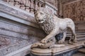 Marble lion in the Royal Palace of Caserta