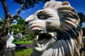 Marble lion`s teeth - Vietnam fall of 2019