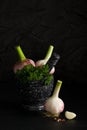 Marble mortar and pestles with herbs garlic and pepper Royalty Free Stock Photo