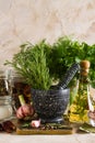 Marble mortar and pestles with herbs garlic and pepper Royalty Free Stock Photo