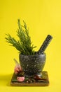 Marble mortar and pestles with rosemary garlic and pepper Royalty Free Stock Photo