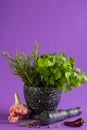 Marble mortar and pestles with rosemary garlic and pepper Royalty Free Stock Photo