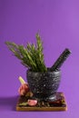 Marble mortar and pestles with rosemary garlic and pepper Royalty Free Stock Photo