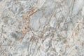 Marble mosaic decor bacground