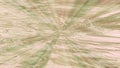 Marble pattern texture background. Tile for a bathroom. Copy space. Abstract Textured Background. Chaotic ray pattern