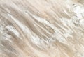 Marble patterned texture background.