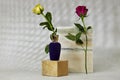 marble podium or stone beauty with plush fabric purple perfume above 3d wooden cube with roses flowers.