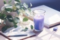 marble pothos plant, candle, books, pastel color. ai generative