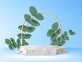 Marble product podium with green leaf branches