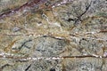 marble with red veins Royalty Free Stock Photo