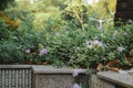 Marble Rock Steps and staircases park bench. Public park Decoration with winter flowering plants. Front or back yard garden lawn