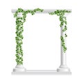 Marble roman arch with columns at green ivy creeper isolated on white background. Temple frame with stone pillars in Royalty Free Stock Photo