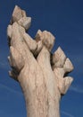 Marble sculpture reaching for the blue sky with upward branches in Fatima - portugal Royalty Free Stock Photo