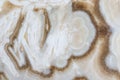 Marble slab - closeup