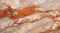 Marble Slab Job Application With Burnt Sienna Veins