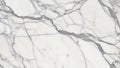Marble slab with prominent gray veining creates an elegant natural Royalty Free Stock Photo