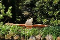 Marble statue in a fountain of a garden in Lisbon