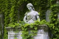 a marble statue nestled amongst ivy-covered ruins Royalty Free Stock Photo