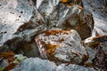 Marble stone covered red with green moss Royalty Free Stock Photo