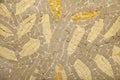 Marble-stone mosaic Royalty Free Stock Photo