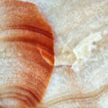 Marble stone rock background/Abatract