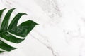 Marble surface and green leaf flat lay Royalty Free Stock Photo
