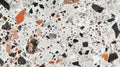 Marble surface with orange & black speckles