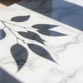 Marble surface with subtle grey veining, featuring a distinct shadow of a branch with elongated Royalty Free Stock Photo