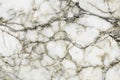 Marble texture