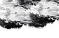 Marble texture. Acrylic colors. Black and white blots. Abstract background