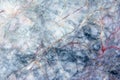 Marble texture background. Colorful marble texture. Striped marble texture. line marble texture