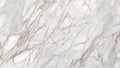 Marble texture background with elegant veining Royalty Free Stock Photo