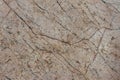 Marble texture background