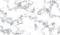 Seamless marble pattern texture,background vector Royalty Free Stock Photo