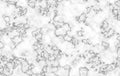 Marble texture. Natural grey swirls and ripples on white background. Abstract pattern Royalty Free Stock Photo