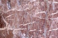 Marble texture from Trianon - Versailles Royalty Free Stock Photo