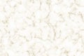 Marble Vector Texture. Realistic White Marble with Black Veins. Elegant Background. Horizontal. Vector Royalty Free Stock Photo