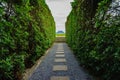 Marble walkway Two sides of the tree Royalty Free Stock Photo