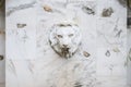 A marble wall with a lion's head and a stream of water flowing out of the mouth. Park fountain. Royalty Free Stock Photo