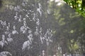 Marble Wall in the Vietnam Veterans Memorial in Washington DC Royalty Free Stock Photo