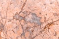 Marble, whets stone, terrazzo, patterned texture background.