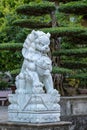 Marble white lion statue in outdoors park in tropical garden, Vietnam Royalty Free Stock Photo