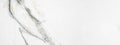 Marbled background banner panorama - High resolution white grey gray Carrara marble stone texture Royalty Free Stock Photo