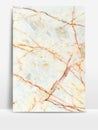 Marbled Texture Style for Architecture or Decorative Background.