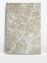 Marbled Texture Style for Architecture or Decorative Background.